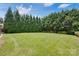 A huge, lush backyard bordered by a tall privacy fence of mature evergreen trees at 105 Runningdeer Dr, Mooresville, NC 28117
