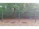 Metal swing set with wood chip base in a fenced in playground area next to wooded space at 15326 Carrington Ridge Dr, Huntersville, NC 28078