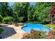 Inviting in-ground pool surrounded by lush landscaping and beautiful flowers at 2153 Darian Way, Waxhaw, NC 28173