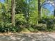 Tree-lined street with lush landscaping including a variety of trees and flowering bushes at 3100 Ventosa Dr, Charlotte, NC 28205