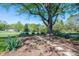 Manicured front yard featuring a massive, mature shade tree and beautiful landscaping at 3340 Wrenwood Dr, Newton, NC 28658
