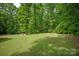 Large grassy backyard surrounded by dense trees, providing privacy at 9941 Heritage Oak Ln, Waxhaw, NC 28173