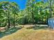 Large backyard with mature trees, offering privacy and space for outdoor activities at 109 Bee Tree Ln, Salisbury, NC 28144