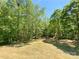 Lush green backyard bordered by mature trees, providing a serene and private outdoor space at 109 Bee Tree Ln, Salisbury, NC 28144