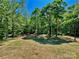 View of the backyard showing the line of trees on the property at 109 Bee Tree Ln, Salisbury, NC 28144