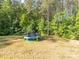 Lush backyard highlighting a trampoline and the natural beauty of the surrounding trees at 11010 Redcoat Hill Ln # 33, Huntersville, NC 28078