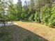 Large backyard with a patio, fire pit, seating area, and mature trees at 11010 Redcoat Hill Ln # 33, Huntersville, NC 28078