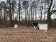 Backyard shed and accessories surrounded by woods and dried leaves at 14131 Lucia Riverbend Hwy, Mount Holly, NC 28120