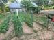Backyard featuring planted rows of plants at 14131 Lucia Riverbend Hwy, Mount Holly, NC 28120