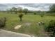 Large, grassy backyard with scattered trees and bushes, offering a spacious and natural setting at 1620 Moss Springs Rd, Albemarle, NC 28001