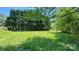 Beautiful grassy lot with mature trees providing privacy at 1684 Montevista Dr, Shelby, NC 28150