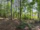 Scenic shot of the home's lush, wooded property at 3022 Cedar Falls Dr # 16, Waxhaw, NC 28173