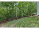 Sloping lawn with mature trees creates a serene backyard at 409 Woodcrest Ln, Albemarle, NC 28001
