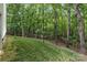 Sloping lawn with mature trees creates a serene backyard at 409 Woodcrest Ln, Albemarle, NC 28001