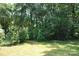 Open backyard featuring mature trees and lush greenery at 510 Belmont Mount Holly Rd, Belmont, NC 28012