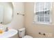 Powder room featuring a modern sink, mirror, and toilet at 11220 Cypress View Dr, Charlotte, NC 28262