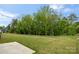 Expansive backyard featuring mature trees and open green space at 1933 Tin Roof Ln, Monroe, NC 28112