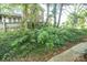 View of lush greenery in the backyard at 2332 Kenmore Ave, Charlotte, NC 28204