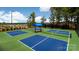 Well-maintained community pickleball courts with shade, offering residents a fun and active outdoor recreational option at 7549 Short Putt Ct, Charlotte, NC 28215