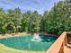 Wooded backyard with a beautifully landscaped pond featuring a fountain and lovely trees at 7927 Fairmont Dr, Waxhaw, NC 28173