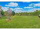 Expansive backyard with lush green grass, mature trees, and privacy landscaping, perfect for outdoor activities at 101 Stonehurst Ln, Waxhaw, NC 28173