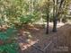 Backyard featuring a framed garden and a forest background at 2643 Rolling Hills Dr, Monroe, NC 28110