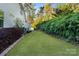 Manicured backyard with lush lawn surrounded by beautiful landscaping, creating a serene and private outdoor space at 5490 Sapwood Ct, Denver, NC 28037