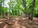 Backyard with playset and wooded backdrop at 6100 Hunter Ln, Weddington, NC 28104