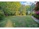 Green backyard space with a well-manicured lawn and mature trees providing shade and privacy at 8222 Henry Harris Rd, Fort Mill, SC 29707
