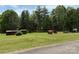 Expansive backyard featuring lush green lawn, mature trees, and multiple outbuildings at 1025 Bee Line Ln, Salisbury, NC 28147
