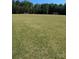 Expansive community soccer field with well-maintained grass, goals, and abundant surrounding trees at 105 Nighthawk Trl # 20, Mooresville, NC 28115