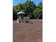 Another view of playground equipment in park setting at 107 Nighthawk Trl # 21, Mooresville, NC 28115