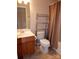 A bathroom with a vanity, toilet, and a metal shelf structure on the side at 1156 Fowler Brook Ct, Indian Land, SC 29707