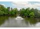 Scenic view of a serene pond with a central fountain, surrounded by lush greenery at 1737 Cavaillon Dr, Waxhaw, NC 28173