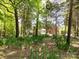 Serene backyard with towering trees, lush greenery, and glimpse of the house, creating a peaceful retreat at 216 Liriope Ct, Matthews, NC 28105