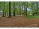 Wooded backyard with view of brick home through the lush trees at 3124 Lakewood Edge Dr, Charlotte, NC 28269