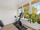 Bright workout area with exercise equipment and plenty of natural light streaming in from large windows at 443 Beaumont Ave, Charlotte, NC 28204