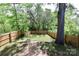 Large fenced backyard provides ample space for outdoor activities with fire pit and mature trees at 703 S Main St, Landis, NC 28088