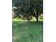 The backyard features a shed for storage at 918 Carmel Dr, Gastonia, NC 28056