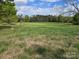 Open grassy land with trees in the background on a sunny day at 1714 Measmer St, Kannapolis, NC 28081