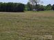 A view of a large open grassy field with a house in the background at 1714 Measmer St, Kannapolis, NC 28081