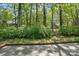 Green space and trees surround a patio area adding privacy in the backyard at 2710 Red Bud Ln, Fort Mill, SC 29715
