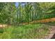 Backyard features a wood fence and lush green trees and foliage at 1104 Norris Ave, Charlotte, NC 28206
