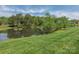 Peaceful pond view with fountain, surrounded by lush greenery and trees at 113 Rocky Trail Ct, Fort Mill, SC 29715