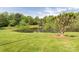 Picturesque pond with fountain surrounded by manicured lawn and mature trees at 113 Rocky Trail Ct, Fort Mill, SC 29715