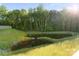 A peaceful pond surrounded by lush greenery and tall trees, creating a serene landscape at 131 Berkeley Ave # D, Mooresville, NC 28117