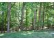 Serene wooded area with lush greenery and mature trees creating a peaceful setting at 134 Walmsley Pl, Mooresville, NC 28117