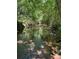 A serene, shallow stream runs through a lush green forest at 1607 Old Lawyers Rd, Marshville, NC 28103