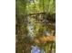 A shallow stream runs through a lush green forest with overhanging trees at 1607 Old Lawyers Rd, Marshville, NC 28103
