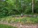 Backyard with firepit, seating, and decorative grasses at 246 Mcduffie Ln, Fort Mill, SC 29715